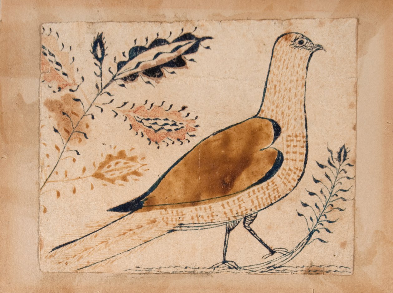 Uccello da Unknown artist
