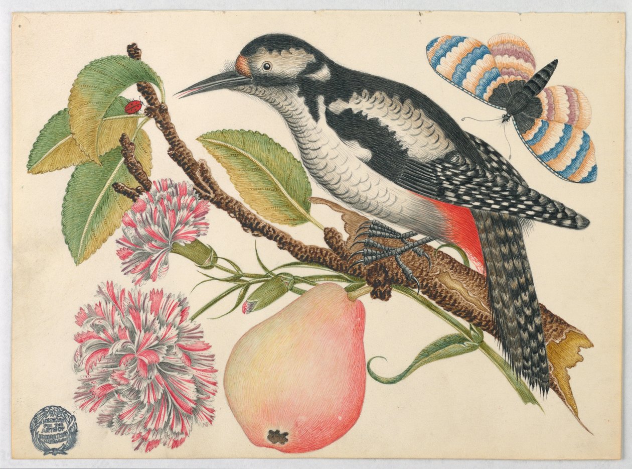 Uccello, farfalla e pera da Unknown artist