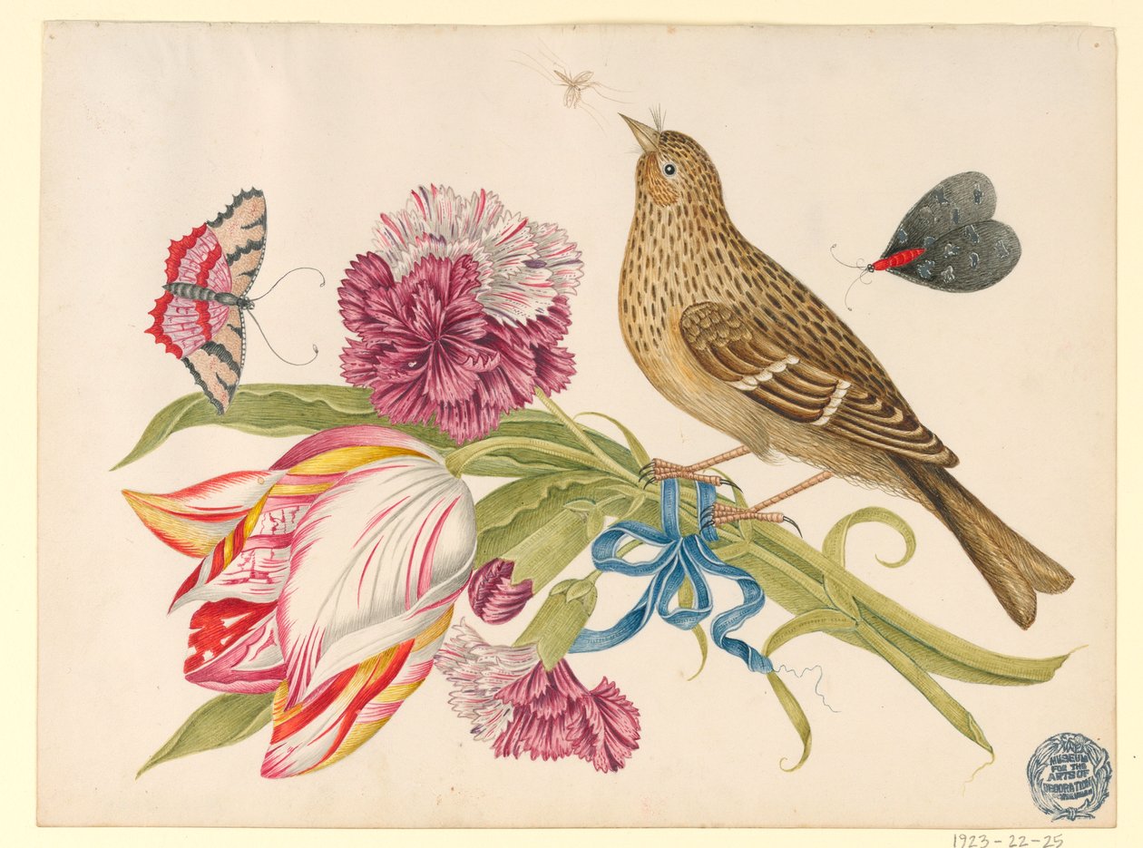 Uccello con tulipano, garofano, farfalle e insetto da Unknown artist
