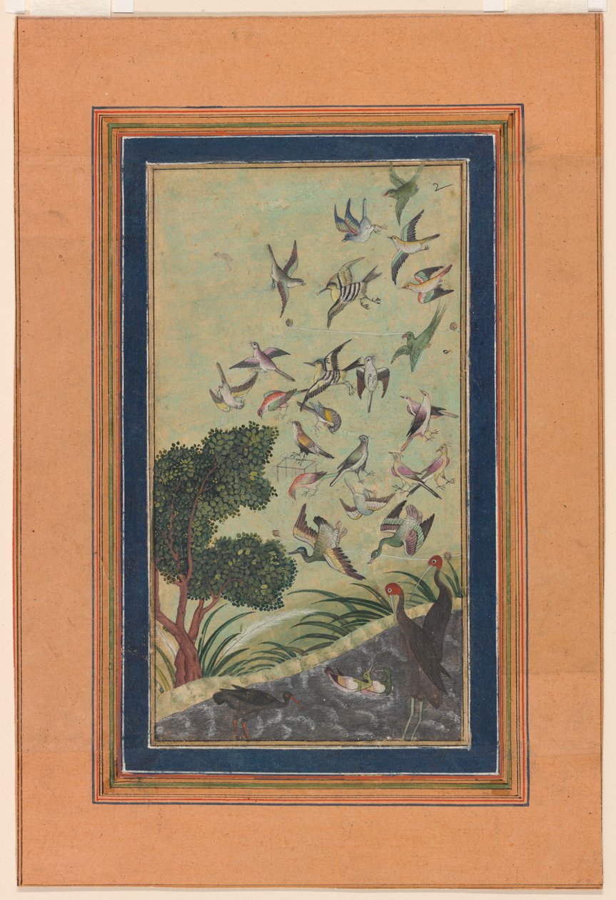 Uccelli a Baran, possibilmente dal Babur-nama da Unknown artist