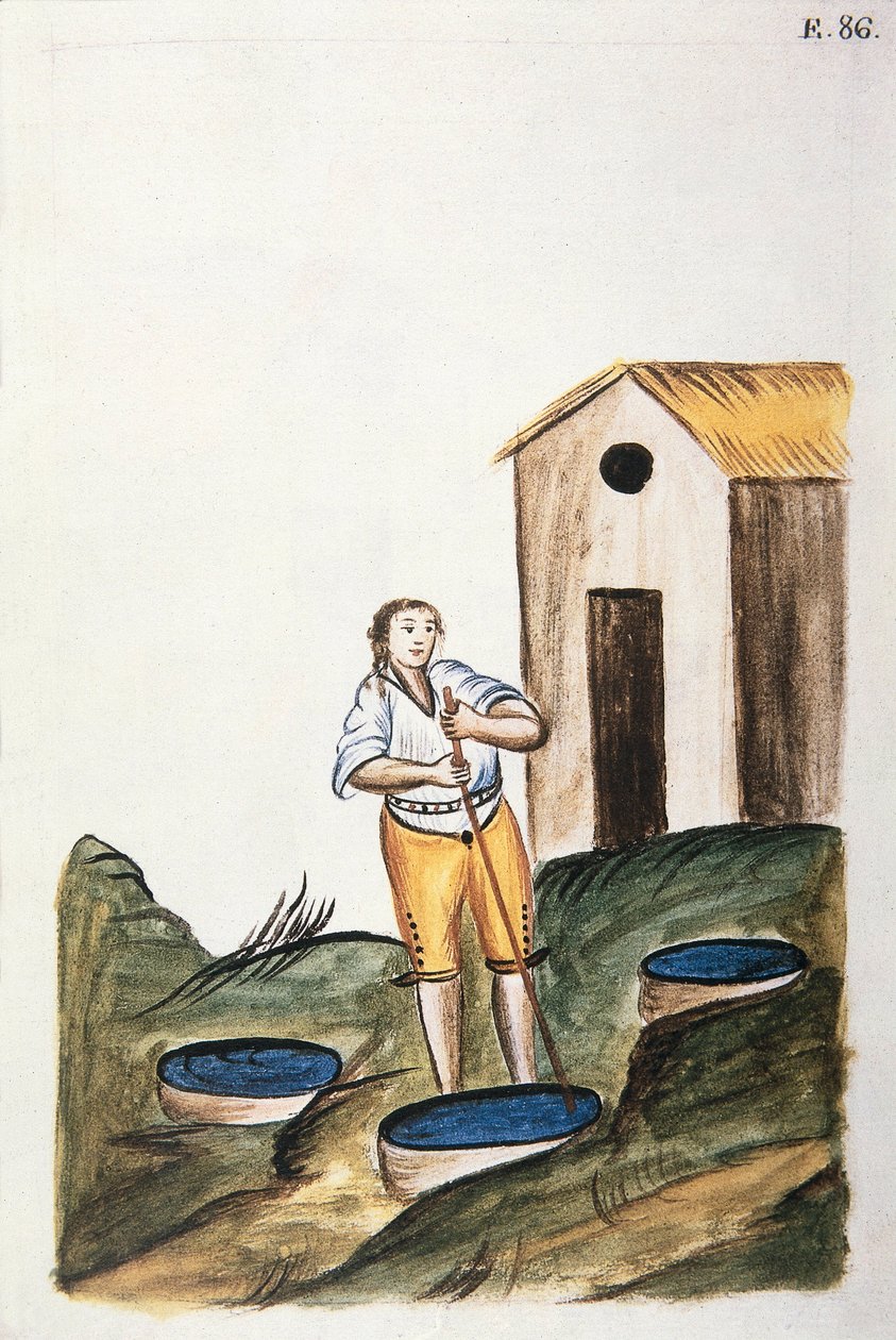 Vassoio di tintura blu usato per tingere la lana, dal libro "Trujillo del Peru" o "Códice Martínez Compañón", di Baltazar Martinez Compañón y Bujanda, vescovo di Trujillo (1782-1785) da Unknown artist
