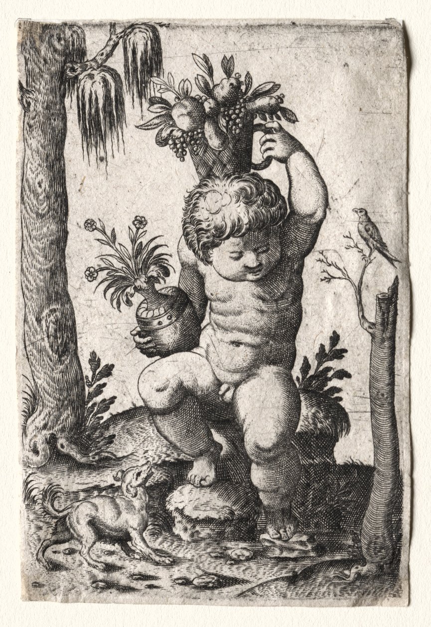 Ragazzo con cesto di frutta da Unknown artist