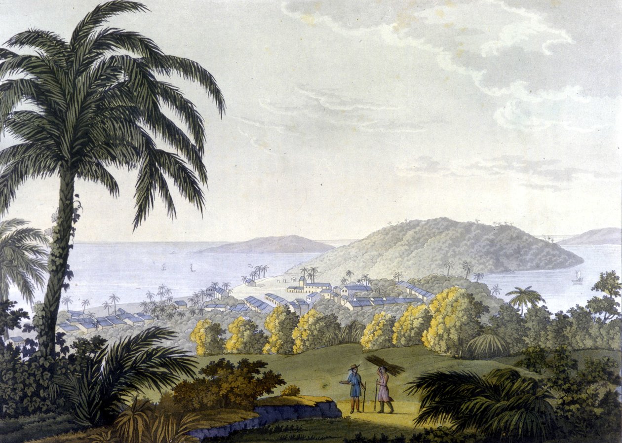 Brasile, vista della città di Ilheus nello stato di Bahia da Unknown artist