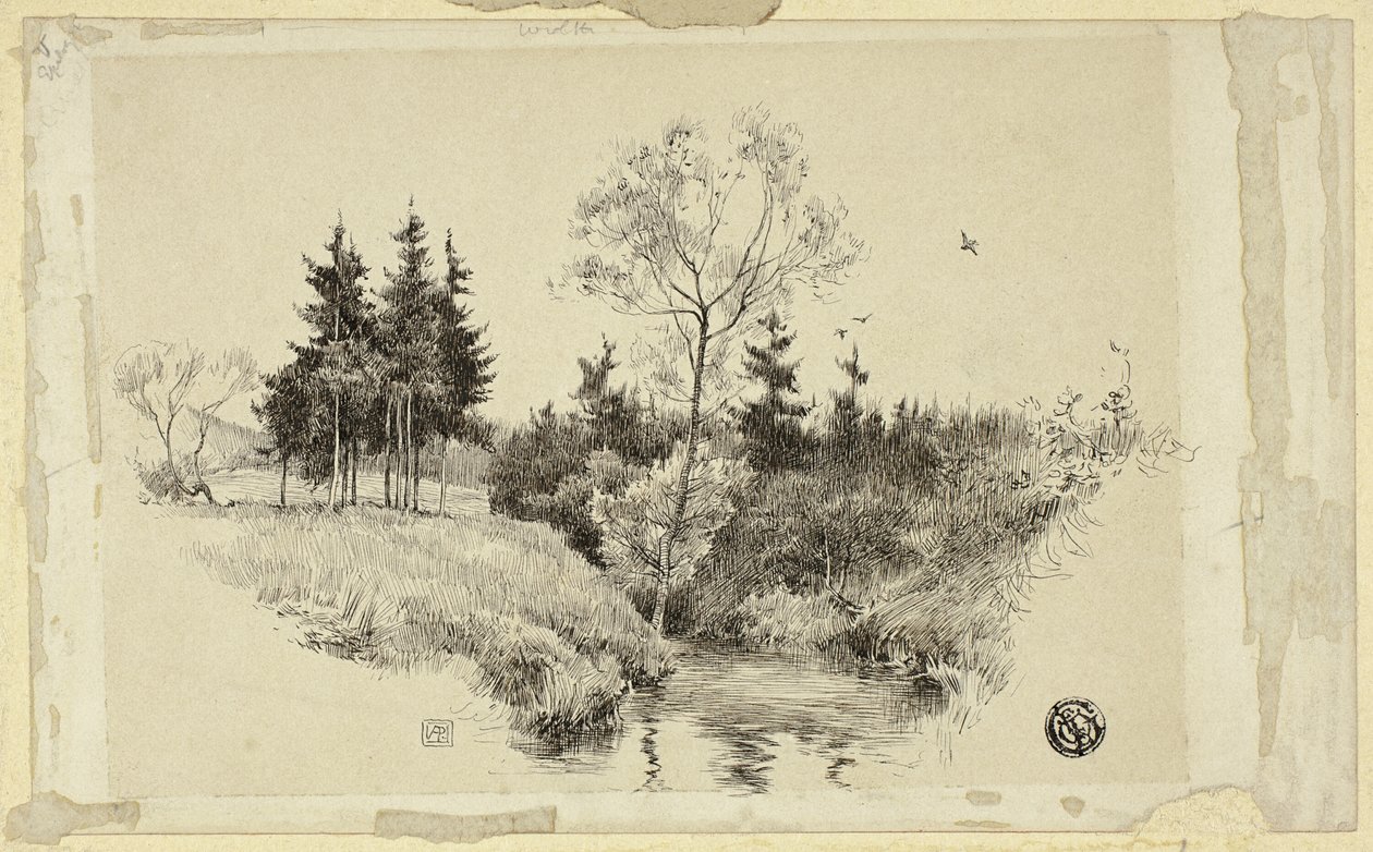 Ruscello nella foresta da Unknown artist