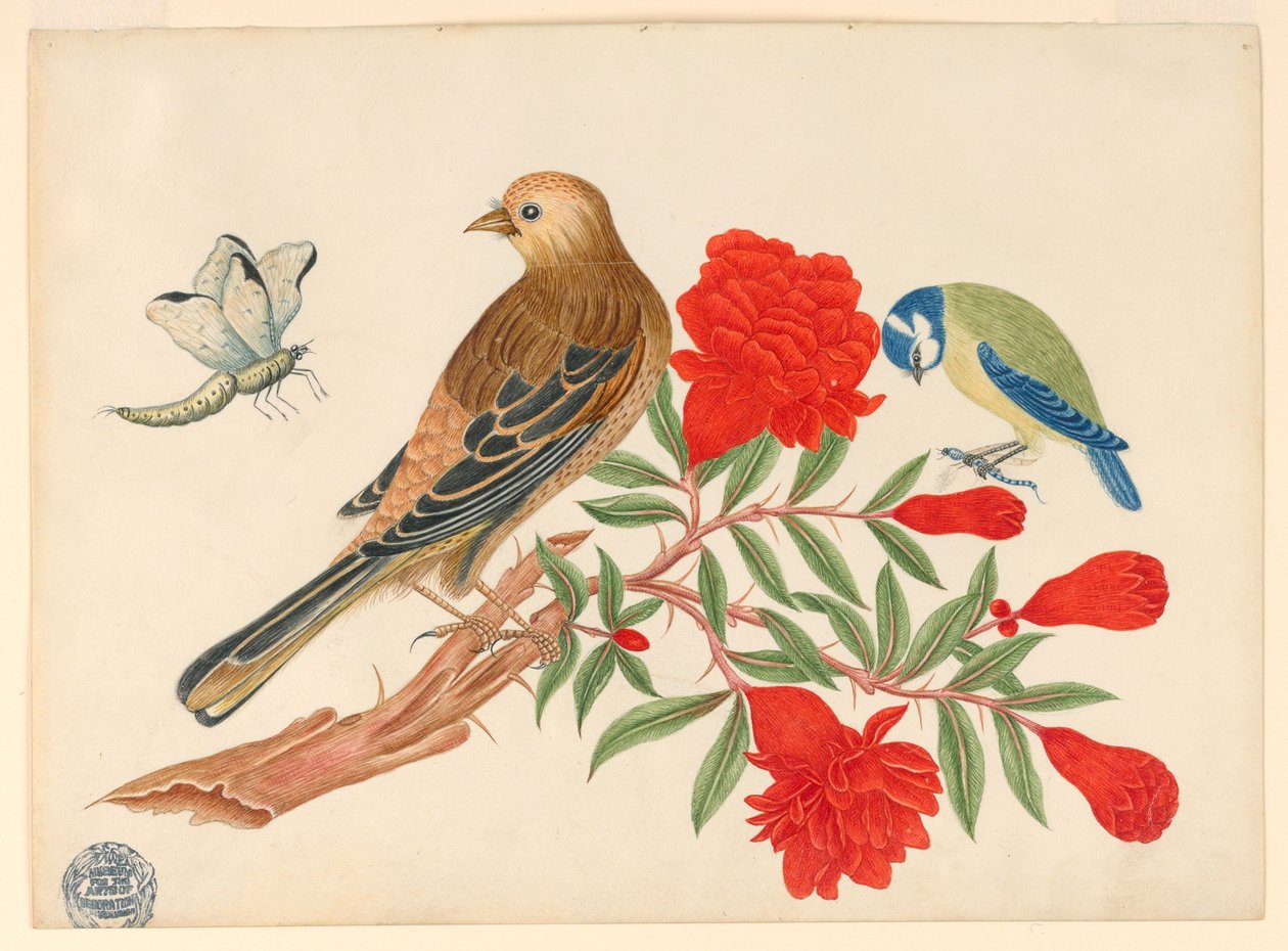 Uccello marrone e nero e uccello blu e giallo su ramo con fiori rossi, caccia agli insetti da Unknown artist