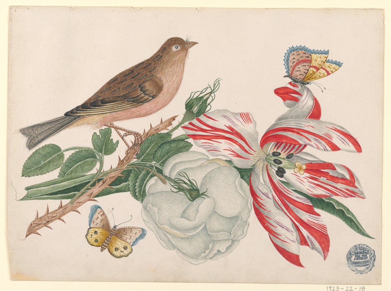 Uccello marrone su ramo con rosa, tulipano e insetti da Unknown artist
