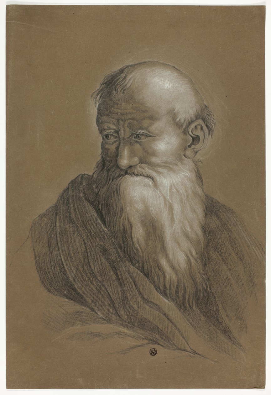 Busto di vecchio barbuto da Unknown artist
