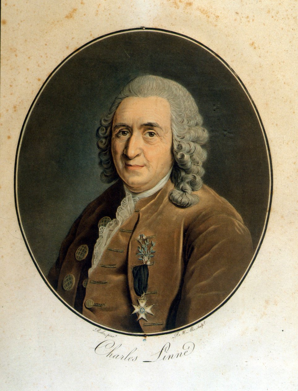Carl Von Linné naturalista e scrittore svedese (1707 - 1778) da Unknown artist