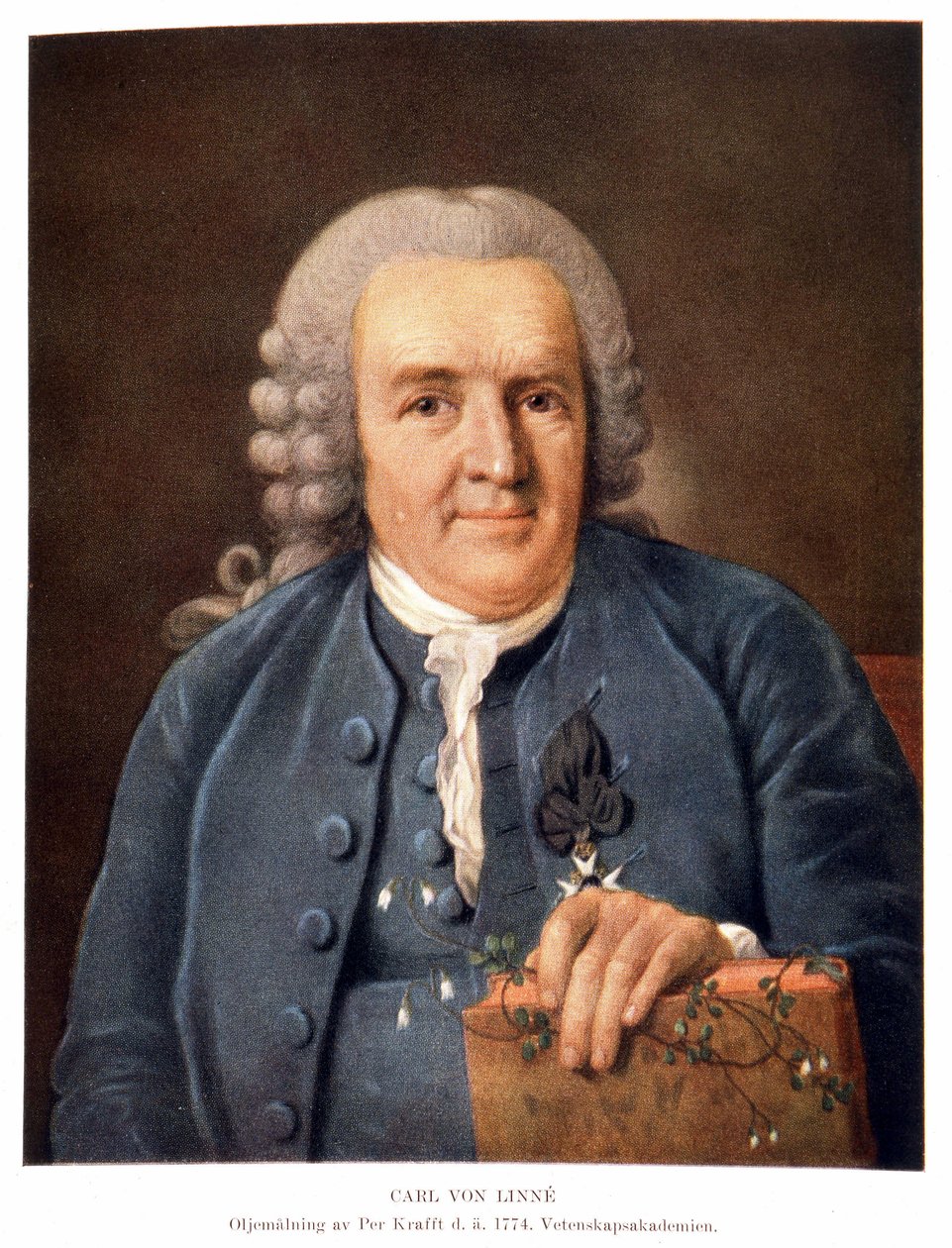 Carl Von Linné, naturalista e scrittore svedese da Unknown artist