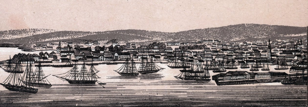 Christiania, Danimarca: vista della città (Vista Generale) in "Il mondo illustra 168 vedute" da Unknown artist