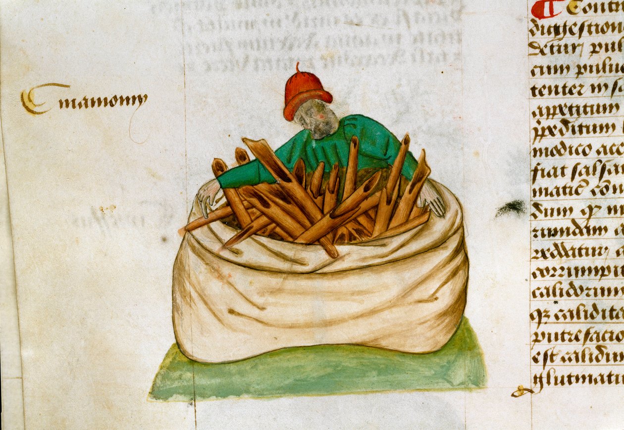 Venditore di cannella da Unknown artist