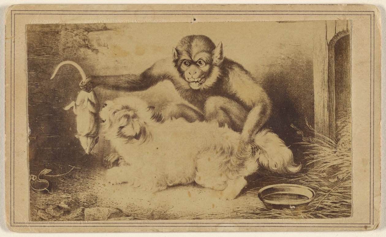[Copia di un dipinto che raffigura una scimmia che tiene un topo per la coda davanti a un piccolo cane bianco]. da Unknown artist