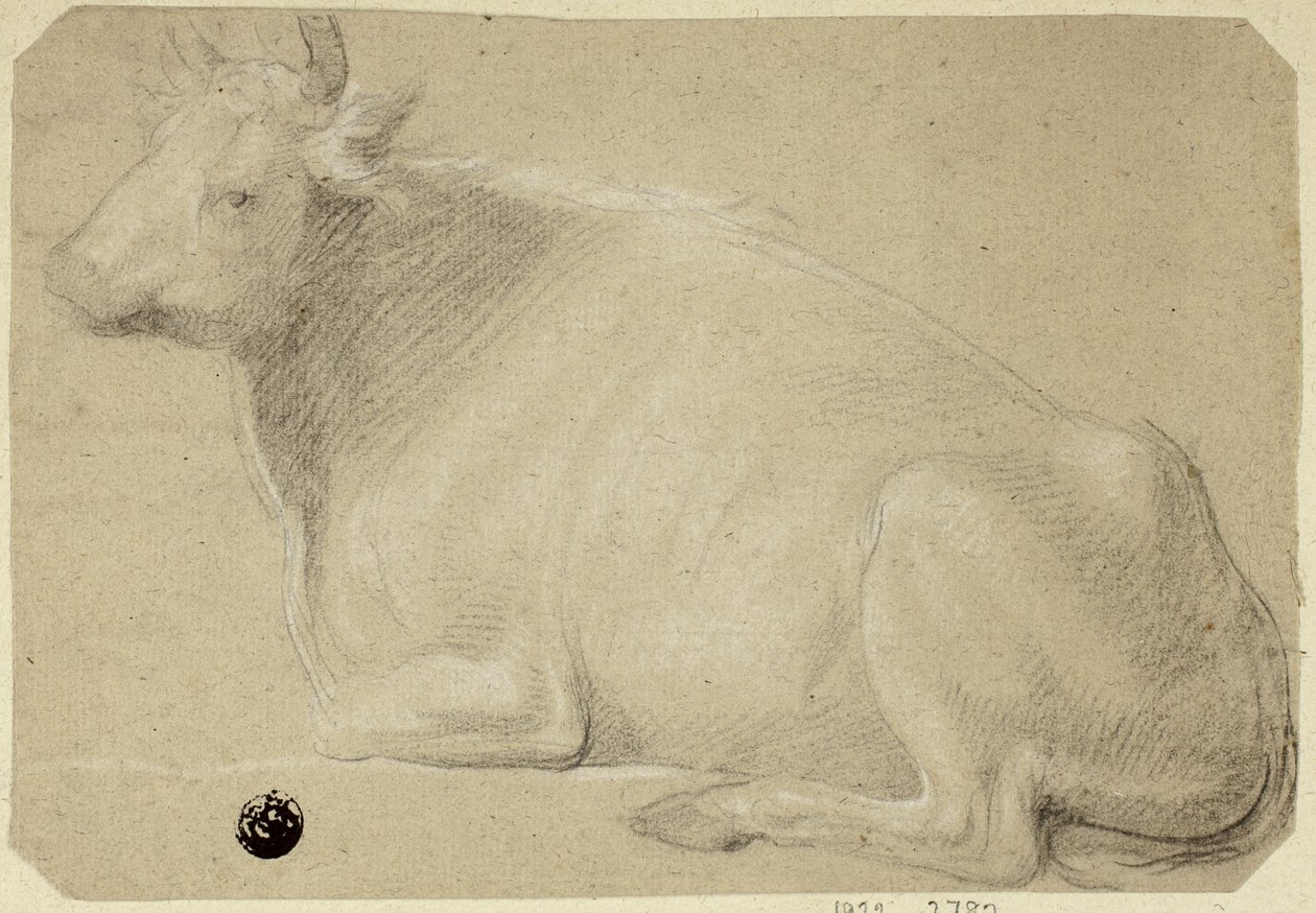 Mucca sdraiata sui fianchi da Unknown artist