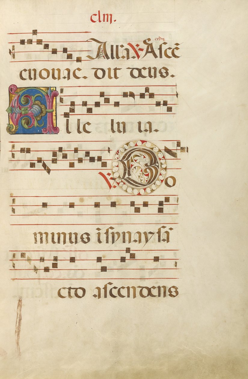 Iniziale decorata A; iniziale decorata D da Unknown artist