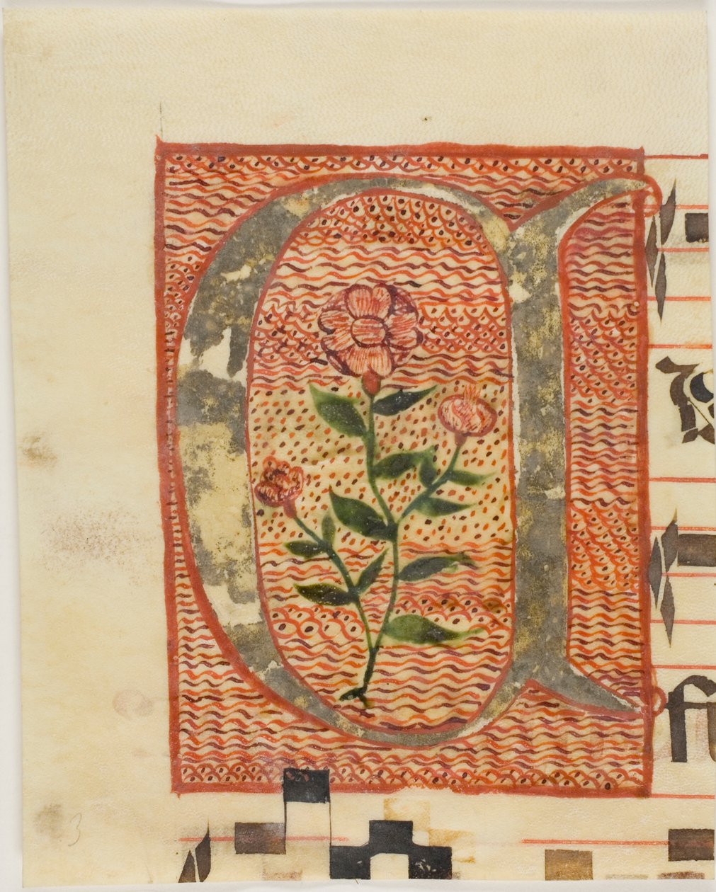 Iniziale decorata "A" con fiore da un manoscritto da Unknown artist