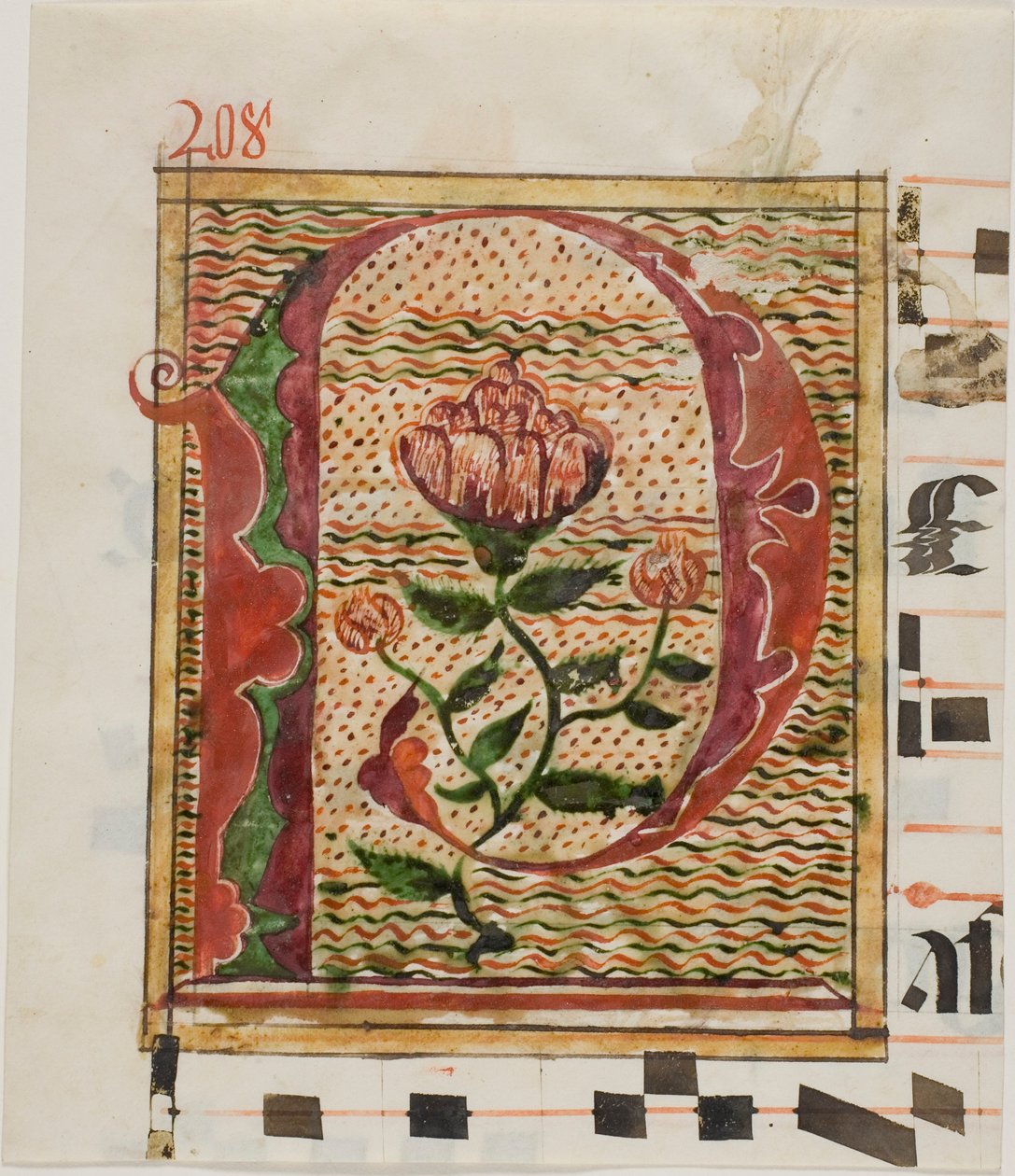 Iniziale "P" decorata con fiori da un manoscritto da Unknown artist