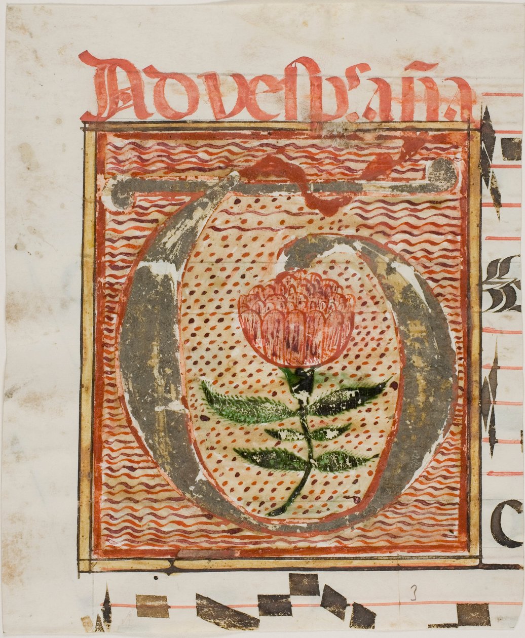Iniziale "T" decorata con fiore da un manoscritto da Unknown artist