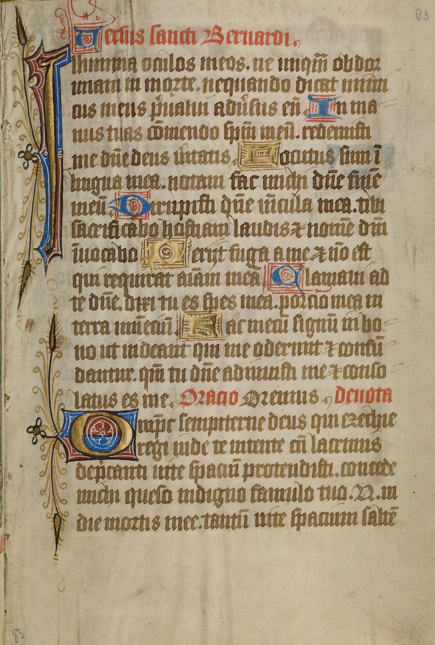 Pagina di testo decorata da Unknown artist