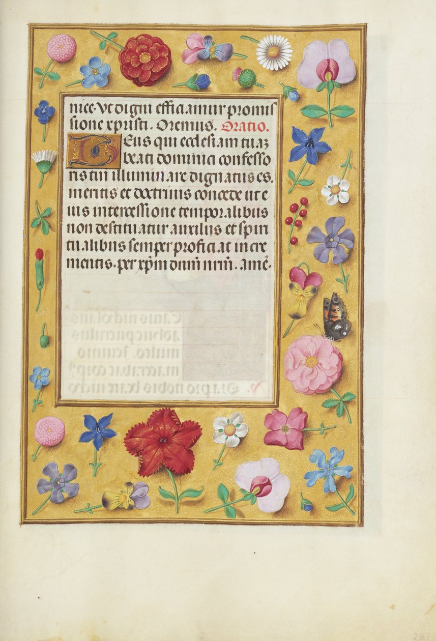 Pagina di testo decorata da Unknown artist