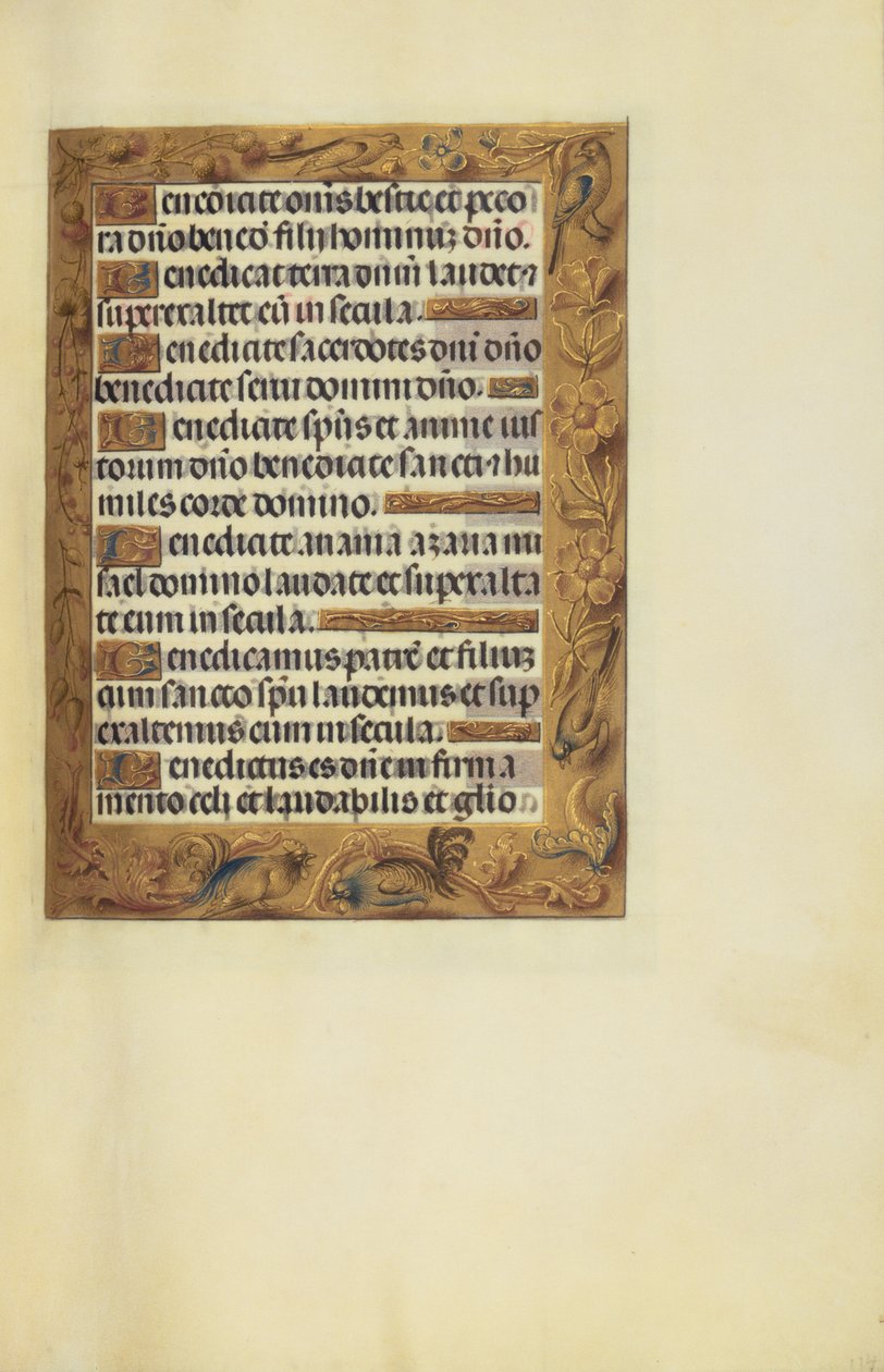 Pagina di testo decorata da Unknown artist