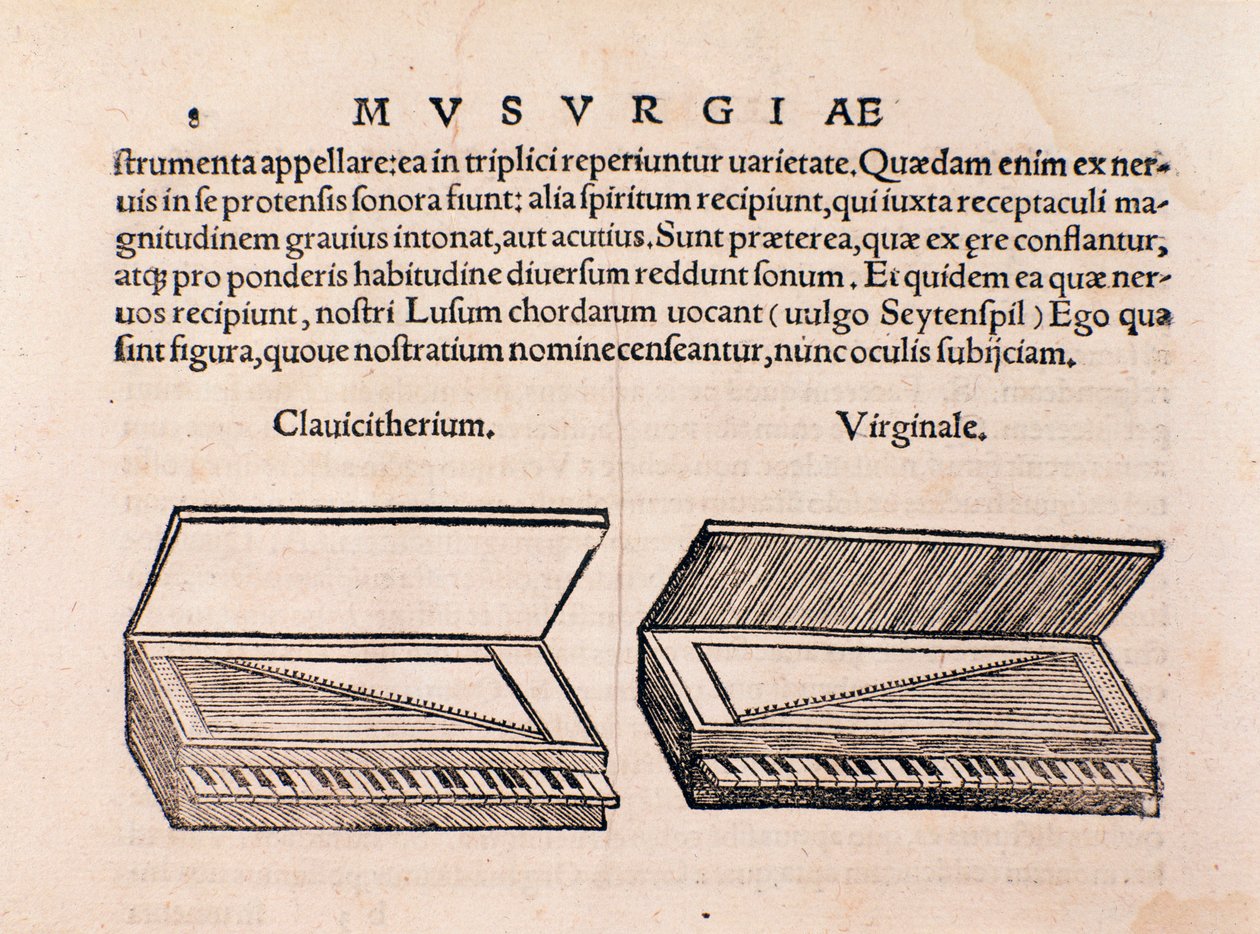 Descrizione di clavicembalo e spinetta. Pagina da Musurgia seu praxis musicae da Unknown artist