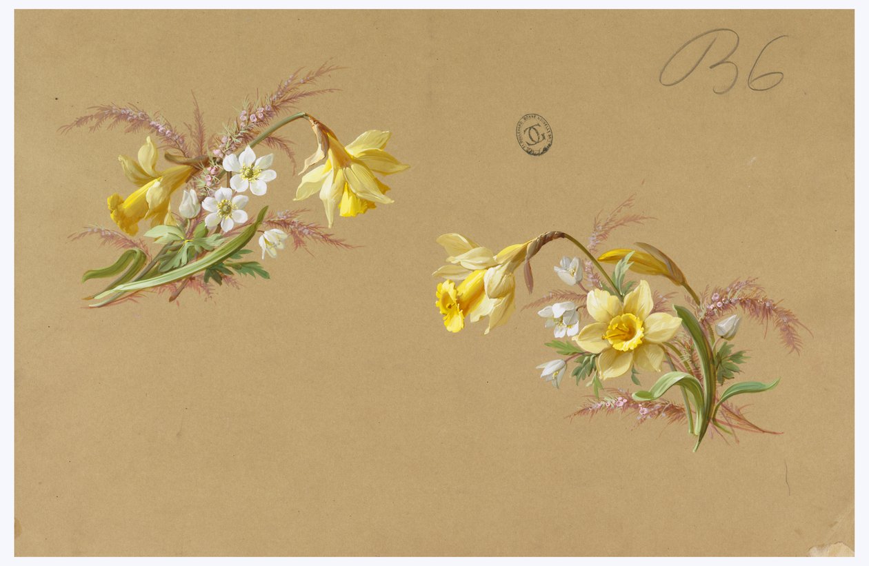 Disegno per carta da parati e tessuti: Fiori da Unknown artist