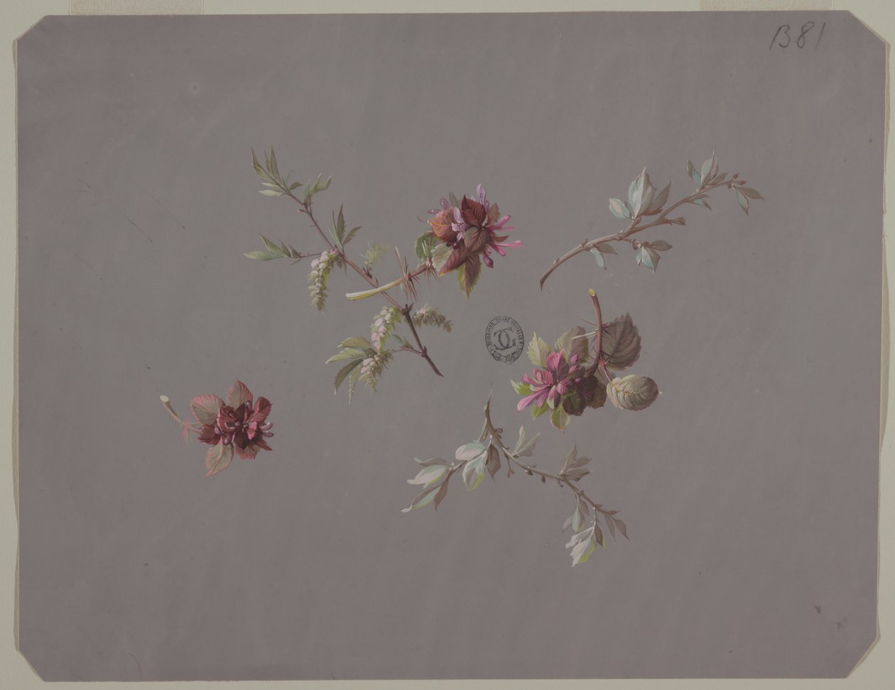 Design per carta da parati e tessuti: Fiori da Unknown artist