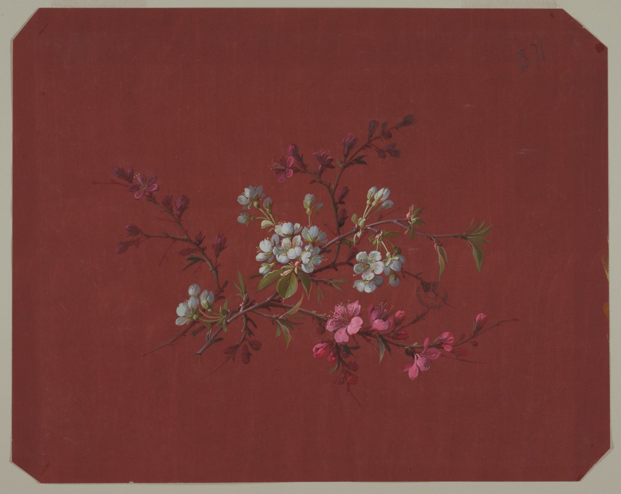 Disegno per carta da parati e tessuti: Fiori da Unknown artist