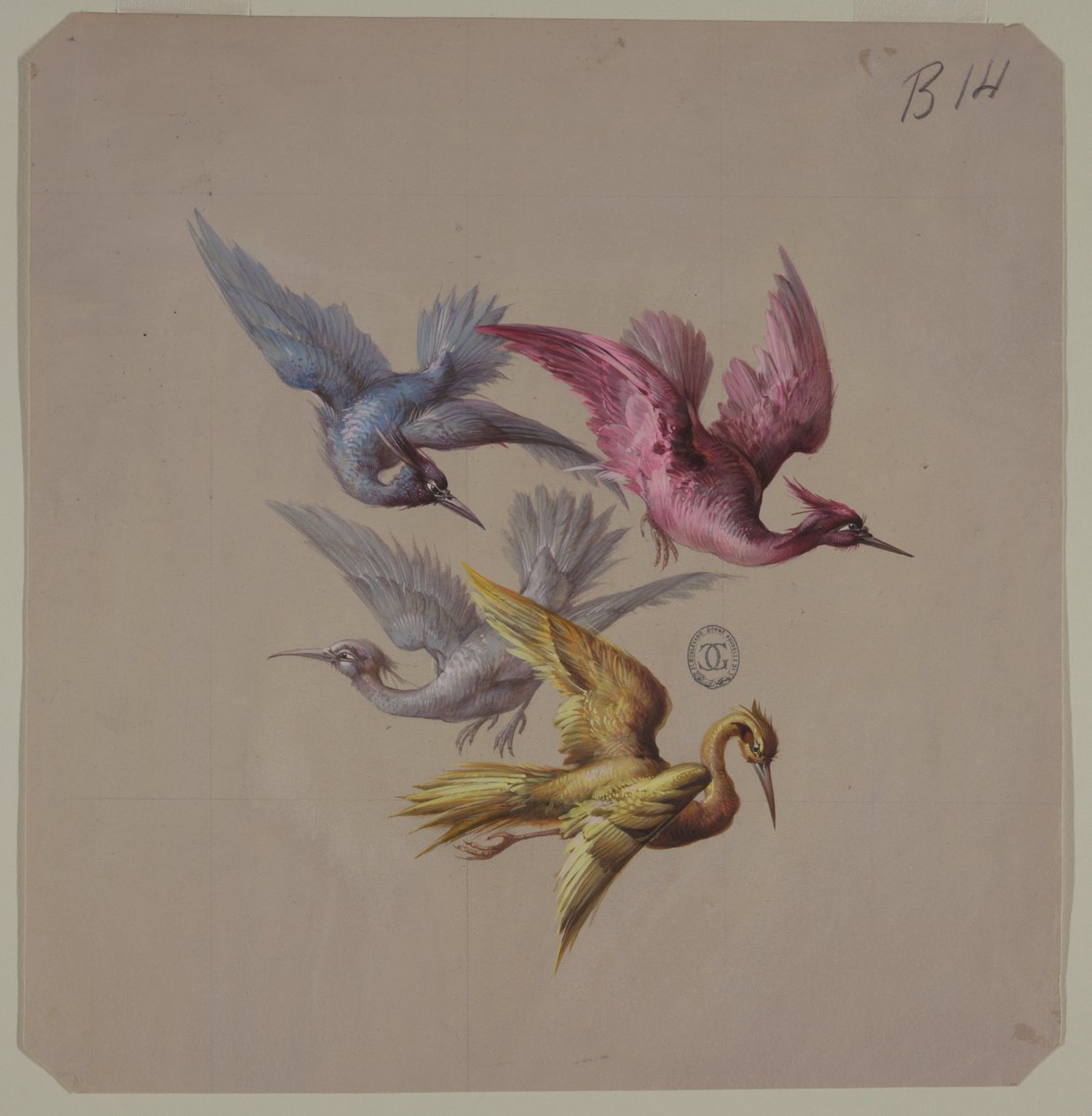 Disegni per carta da parati e tessuti: uccelli da Unknown artist
