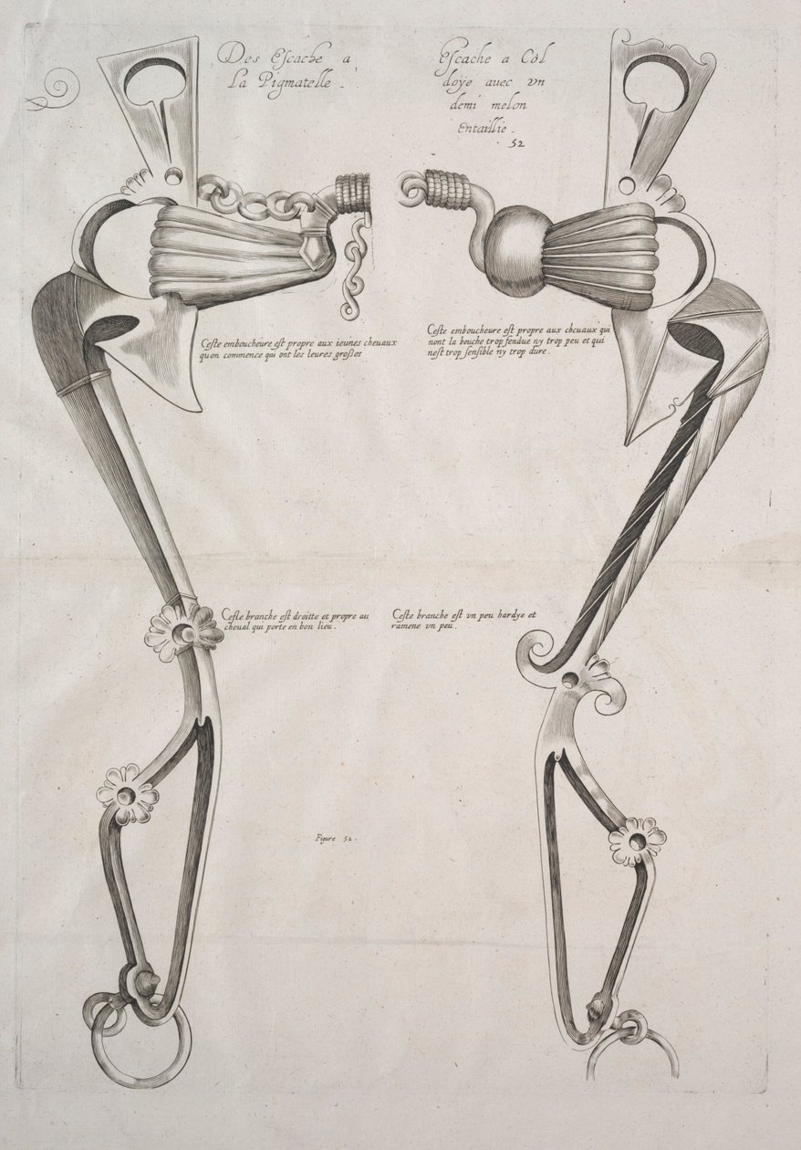 Diagramma per il morso del cavallo da Unknown artist