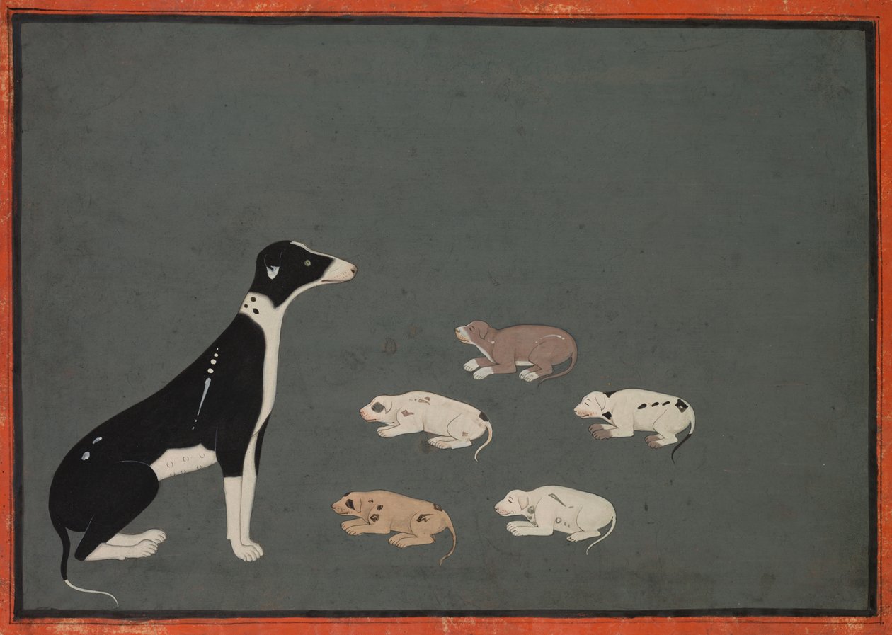 Cane con cuccioli da Unknown artist