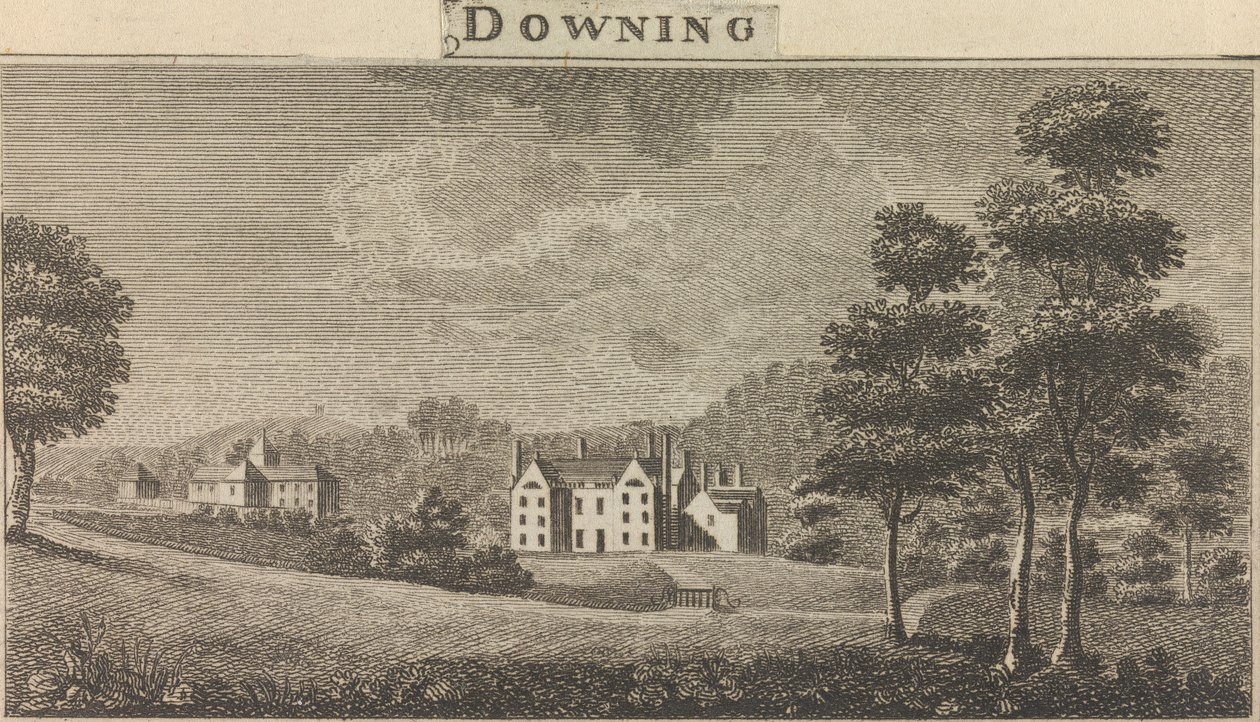 Downing; pagina 88 (Volume Uno) da Unknown artist