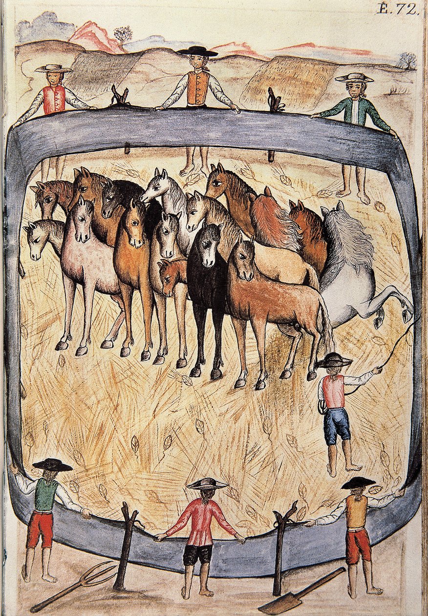 Addestramento di cavalli selvaggi, dal libro "Trujillo del Peru" o "Codice Martínez Compañón", di Baltazar Martinez Compañón y Bujanda, vescovo di Trujillo (1782-1785) da Unknown artist