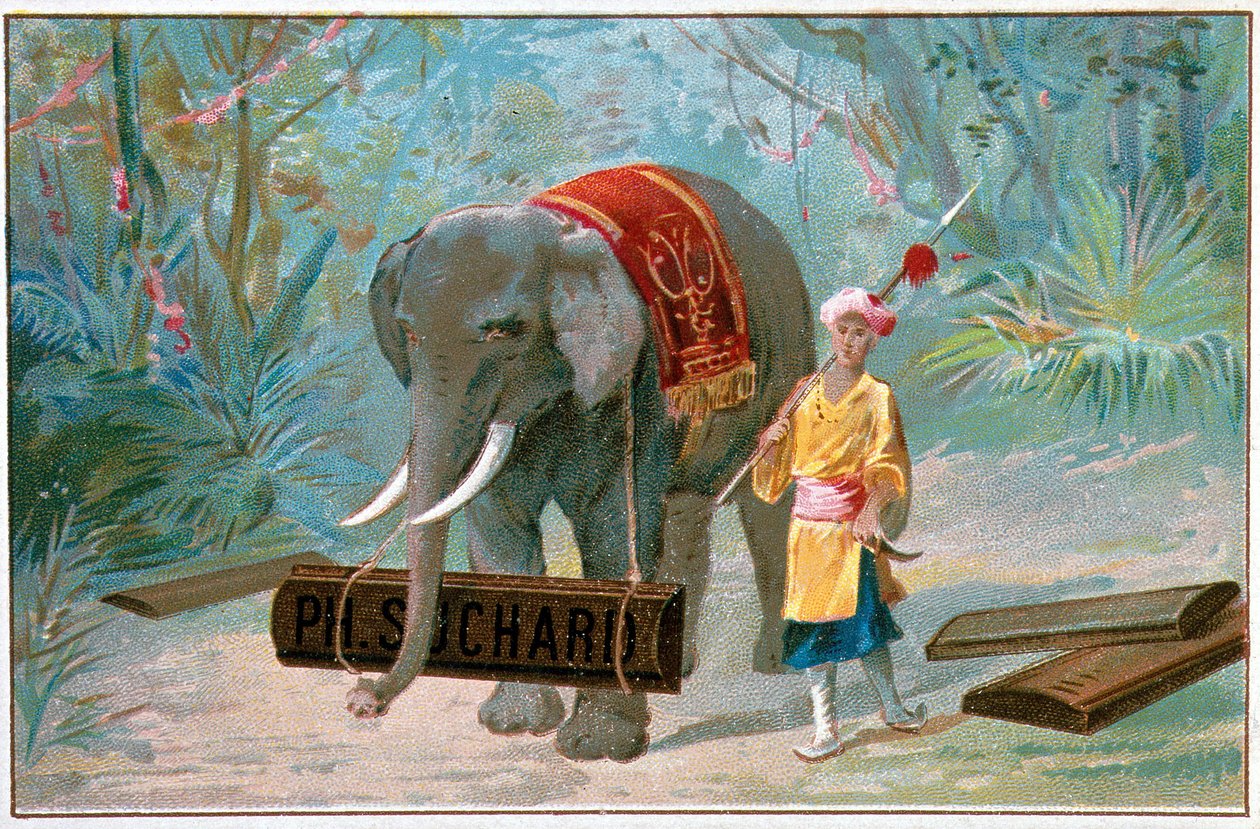 Elefante e Cornac, pubblicità "Suchard", ca. 1895 da Unknown artist
