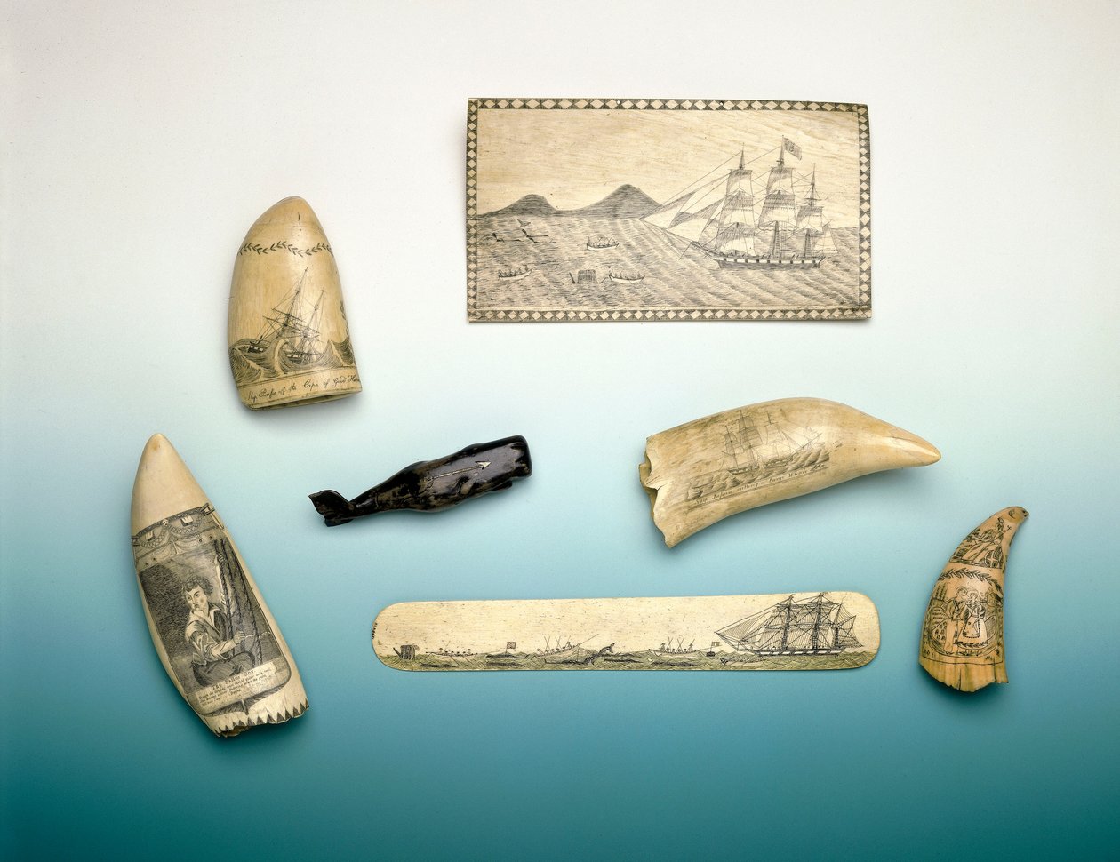 Dente di capodoglio inciso, metà del XIX secolo da Unknown artist