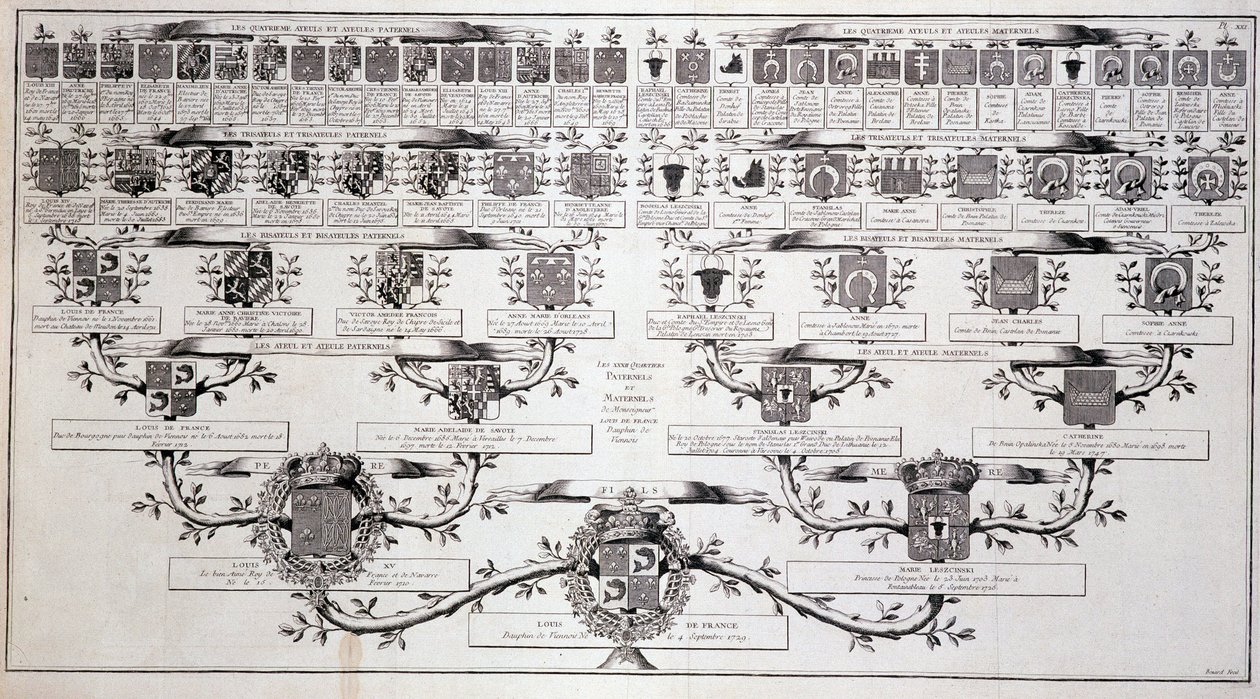 Albero genealogico del delfino di Francia, figlio di Luigi XV e Maria Leszczyńska - in "Enciclopedia" di Diderot da Unknown artist