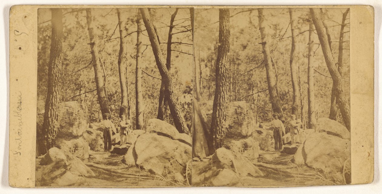[Fontainebleau] da Unknown artist