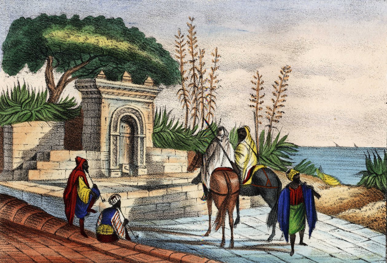 Fontana vicino ad Algeri da Unknown artist