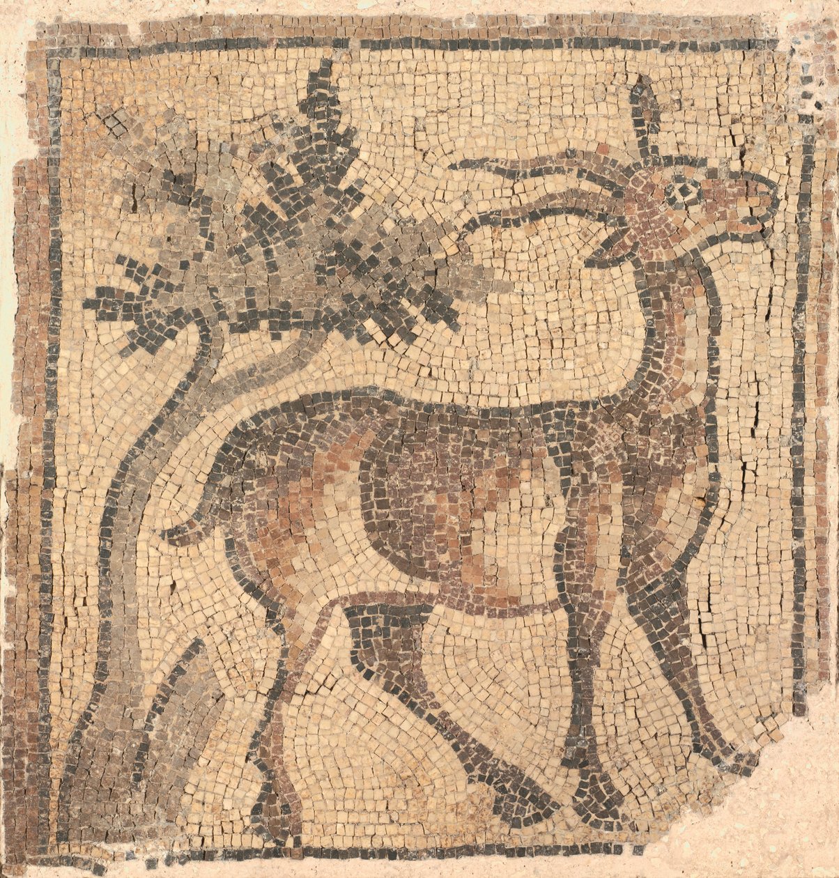 Frammento di un mosaico del pavimento: Stambecco vicino a un albero da Unknown artist