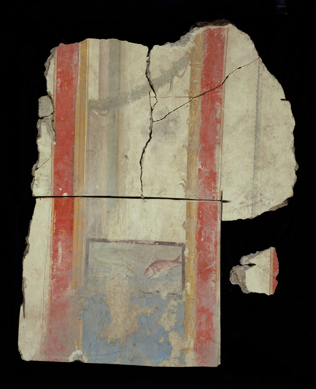 Frammento fresco da Unknown artist