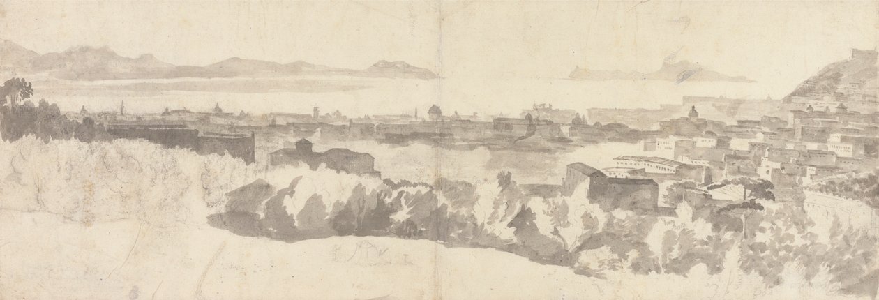 Veduta generale di Napoli da Unknown artist