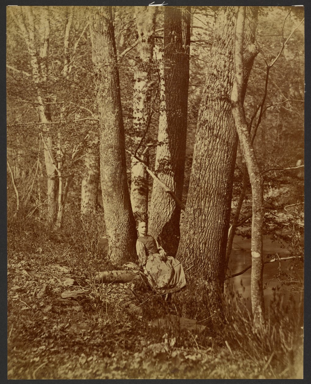 [Ragazza seduta tra gli alberi] da Unknown artist