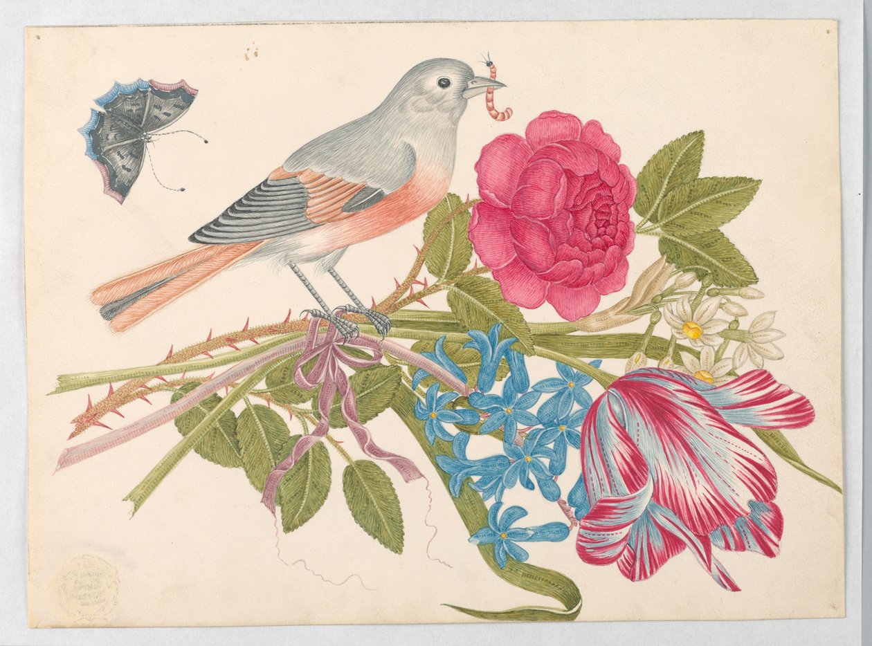 Uccello Grigio e Corallo su Mazzo con Rosa, Tulipano, Margherite e Nontiscordardimé, con Farfalla da Unknown artist