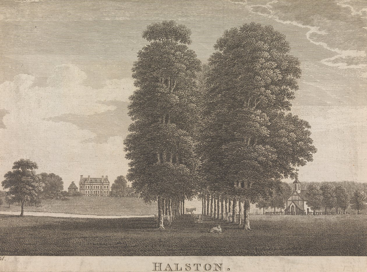Halston; pagina 22 (Volume Due) da Unknown artist