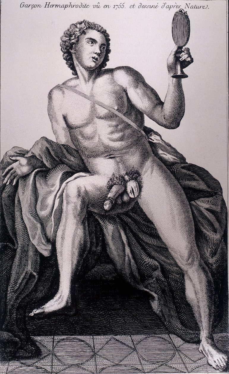 Ragazzo ermafrodito visto nel 1755 e disegnato dal vero da Unknown artist