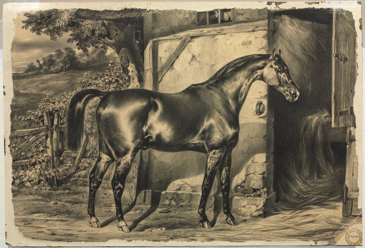 Cavallo davanti a un fienile (verso) da Unknown artist