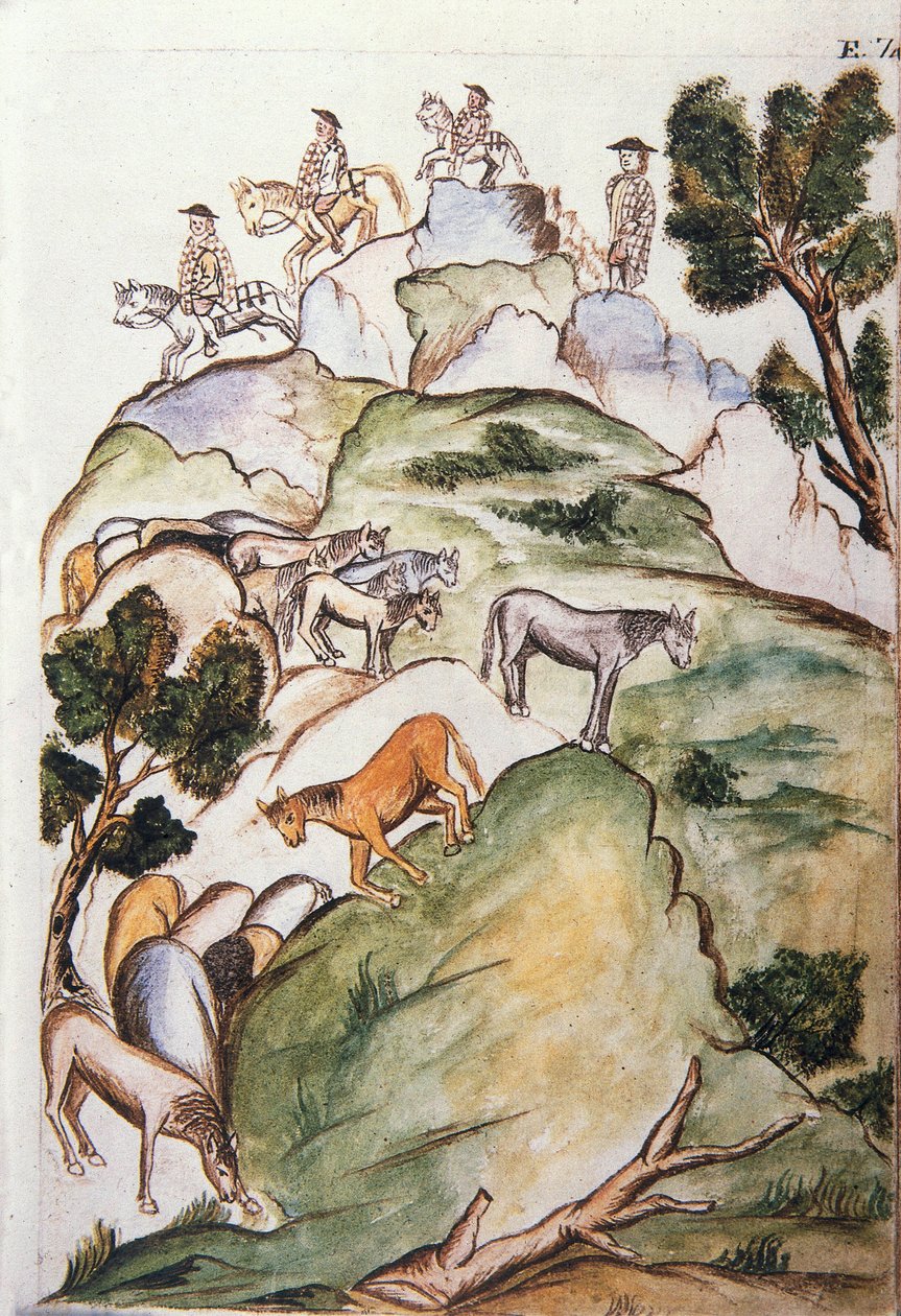 Custodi di cavalli circondano le giumente nelle montagne per catturarle, dal libro "Trujillo del Peru" o "Codice Martínez Compañón", di Baltazar Martinez Compañón y Bujanda, vescovo di Trujillo (1782-1785) da Unknown artist