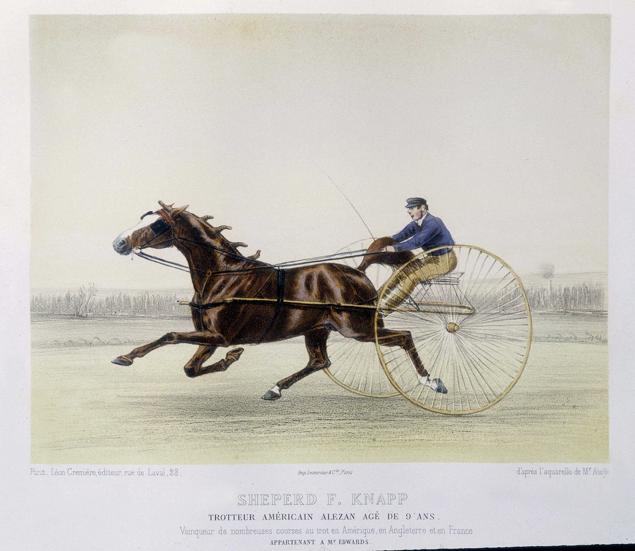 Equitazione: Shepherd F. Knapp, trottatore - in "il centauro" da Unknown artist