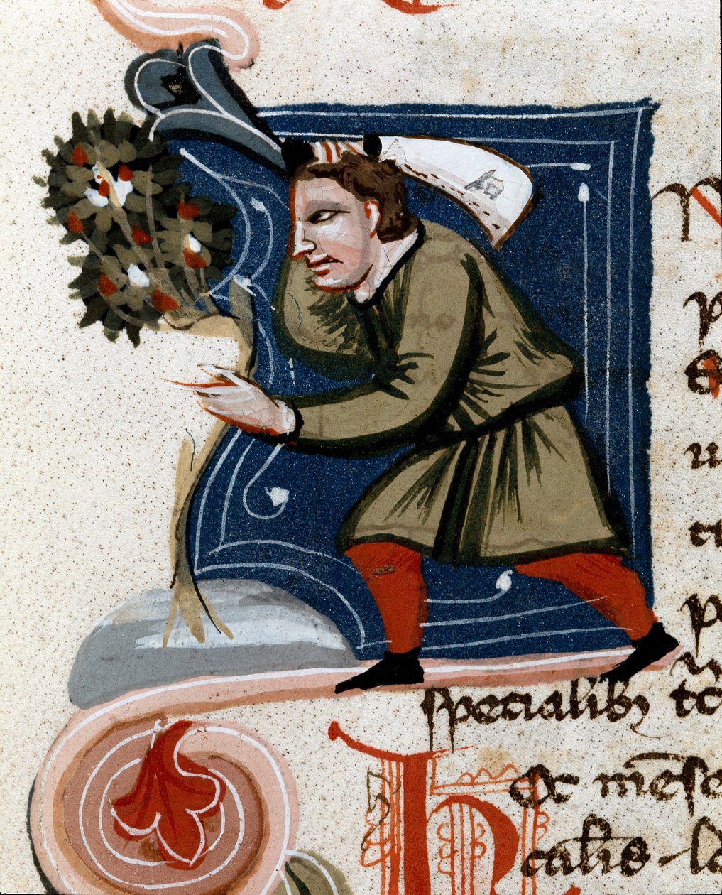 Orticoltura: invasatura di un albero (dettaglio). Pagina di manoscritto Trattato di agraria di Pietro de Crescenzi. XIV secolo Cesena, Biblioteca Malatestiana da Unknown artist