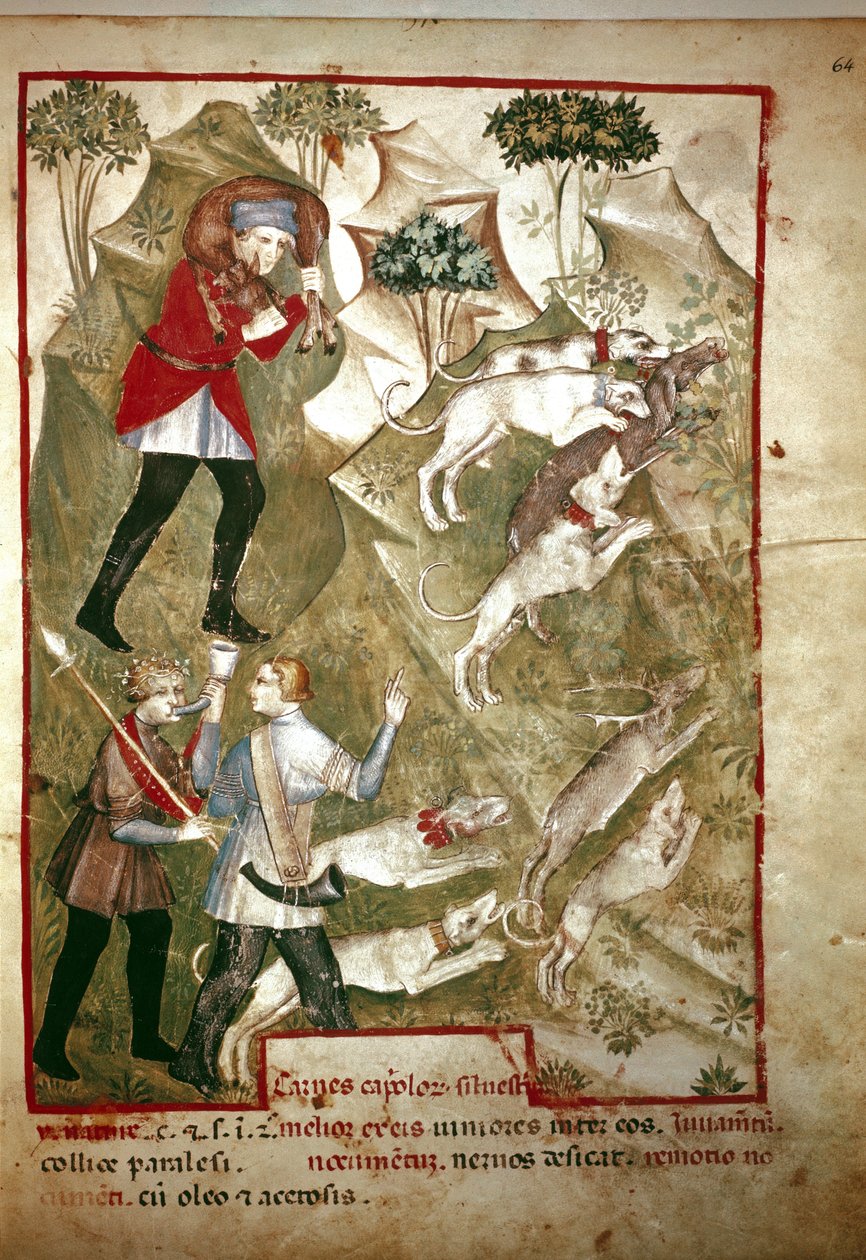 Caccia (Miniatura, XIV secolo) da Unknown artist